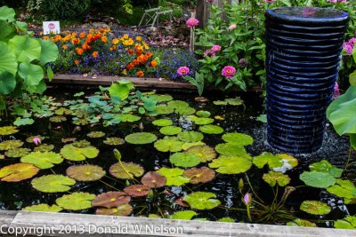 Water_Garden