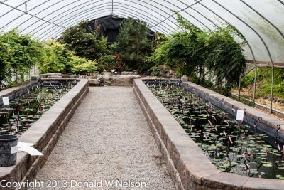 Water_Garden