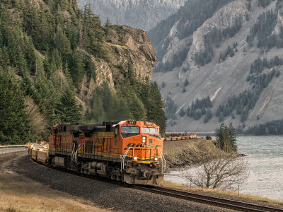 BNSF981 and 4844 Baretable HomeValley Wa