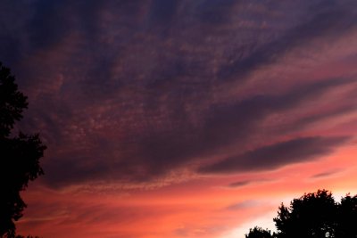 Bumpy Clouds at Sunset