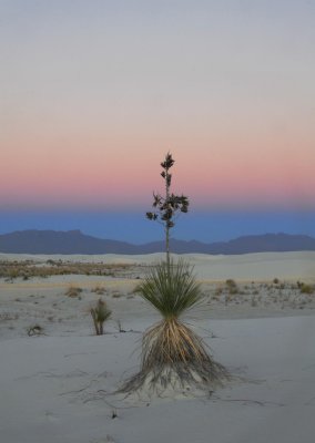 White Sands and the Belt of Venus