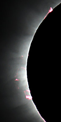 Details in the Prominences and Corona during the Total Solar Eclipse in the Faroe Islands