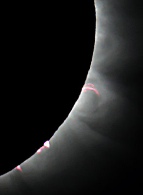 Details in the Prominences and Corona during the Total Solar Eclipse in the Faroe Islands