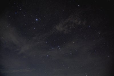 Canis Major and Orion