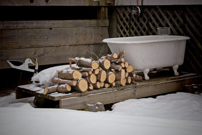 the woodpile