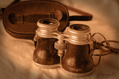 binoculars 