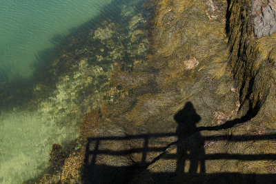 shadows at low tide