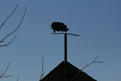 piggy weather vane