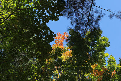 Autumn in Maine USA