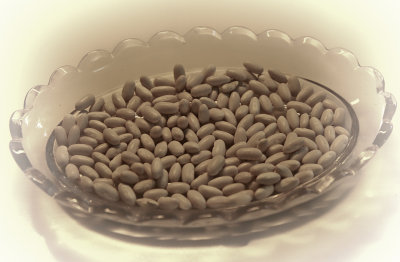 saving seed 