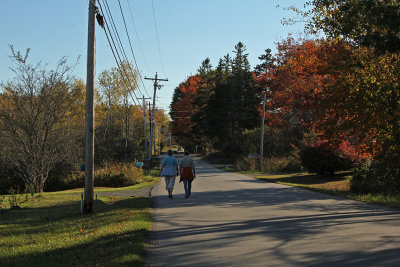 along the road