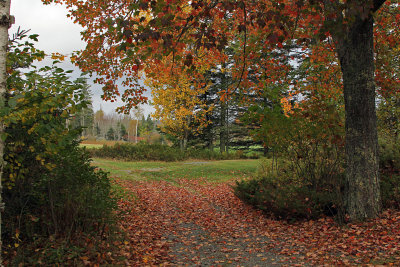 capturing fleeting autumn