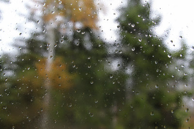 nor'easter