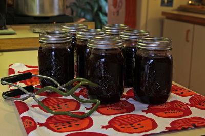 homemade cranberry jelly