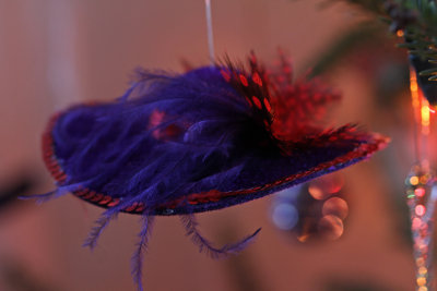 purple hat with feathers