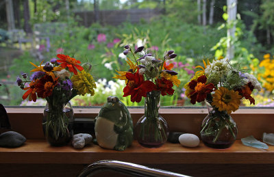kitchen windowsill
