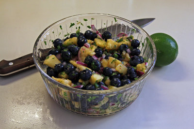 blueberry pineapple salsa