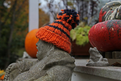 Buddha's new autumn hat - froggie likes it too! 
