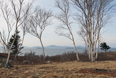 february_2016