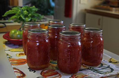 my last tomato project ~ canned crushed Roma's