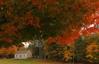 autumn in Maine!