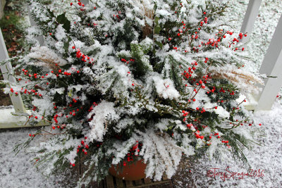 arrangement with gentle snow