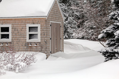 garden shed ~ a very cool snow drift! 