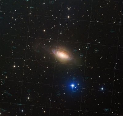 NGC 3521 Anotated
