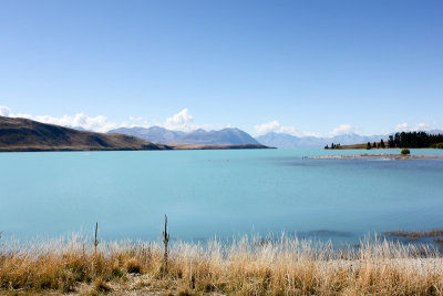 Lake Tekapo
