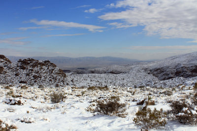 Palm Springs, CA