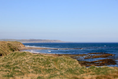 The Catlins 