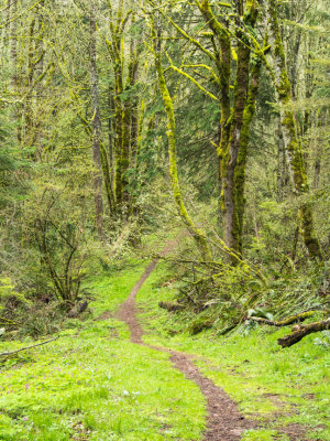 Hill 1000 and Walters Hill Explorations