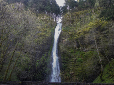 Horsetail Falls to Oneonta Trail in the Columbia Gorge, Oregon Side 2014 04 (Apr) 08