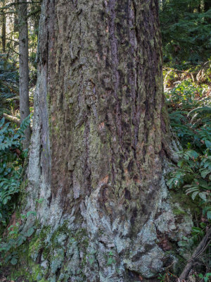 P4130079.jpg *