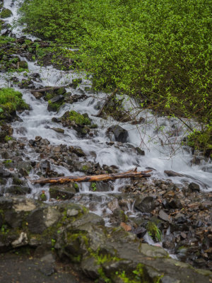 Wahkeena/Multnomah Creek Trails in Columbia Gorge, Oregon 2014 04 (Apr) 25