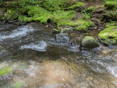 g9/98/1151998/3/155666361.AqFq1b0a.jpg