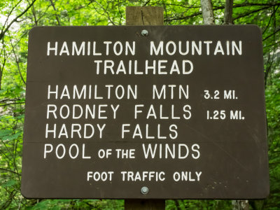 Hamilton Mountain, Columbia Gorge, Washington, U.S.A. 2014 05 (May) 27
