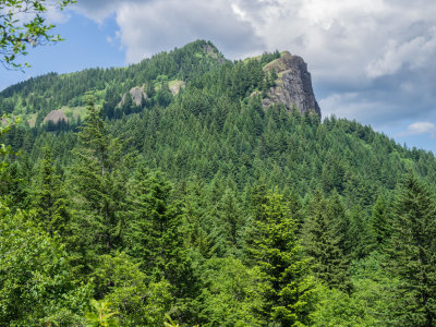 Hamilton Mountain, Columbia Gorge, Washington, U.S.A. 2014 05 (May) 27