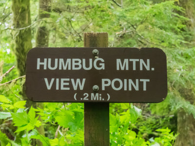 Saddle Mountain, Oregon Coast Range, 81 miles from house in U.S.A. 2014 06 (Jun) 02