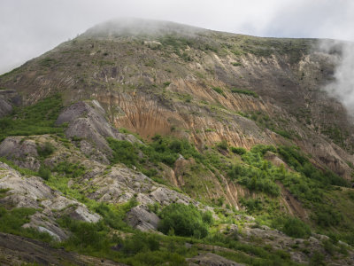 g9/98/1151998/3/156066178.jL2NZLH0.jpg