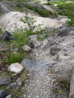 g9/98/1151998/3/156066214.9mQKCE0q.jpg