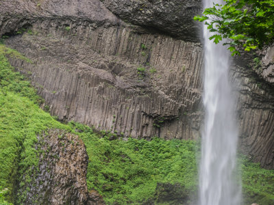 Latourell Falls Loop, Columbia Gorge, Oregon, U.S.A. 2014 06 (Jun) 18