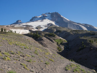 U.S.A., Oregon, Mt. Hood, Timberline Lodge to White River Hike 2014 07 (Jul) 30