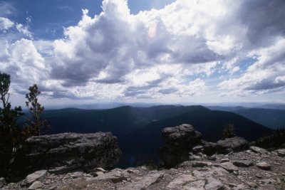 lm30.jpg