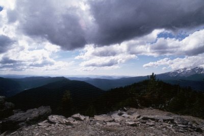 lm33.jpg