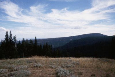 lm37.jpg