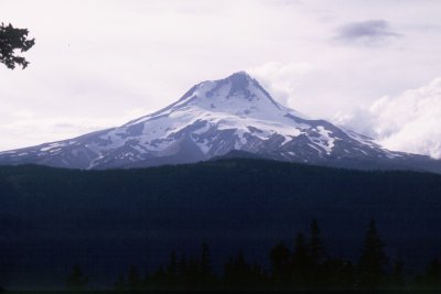 lm51.jpg