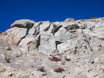 U.S.A., Oregon, Mt. Hood, White River Glacier Overlook to 7,750 feet 2014 08 (Aug) 28