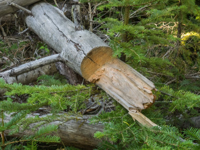 g9/98/1151998/3/157261376.140uioRC.jpg