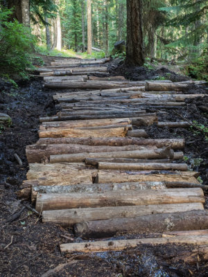 U.S.A., Oregon, Mt. Hood, Tilly Jane Ski Trailhead to Cloud Cap Inn, Return via Polallie Ridge Trail 2014 09 (Sep) 10